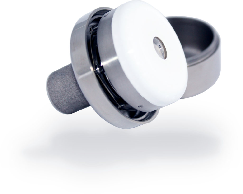 Corwave System CorWave LVAS - CorWave EN